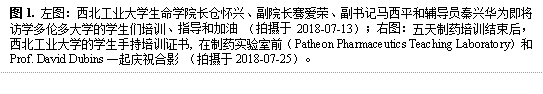 图1. 左图:威廉希尔足球官网长仓怀兴、副院长骞爱荣、副书记马西平和辅导员秦兴华为即将访学多伦多大学的学生们培训、指导和加油 (拍摄于2018-07-13);右图:五天制药培训结束后,威廉希尔足球官网的学生手持培训证书, 在制药实验室前(Patheon Pharmaceutics Teaching Laboratory)和Prof. David Dubins一起庆祝合影 (拍摄于2018-07-25)。